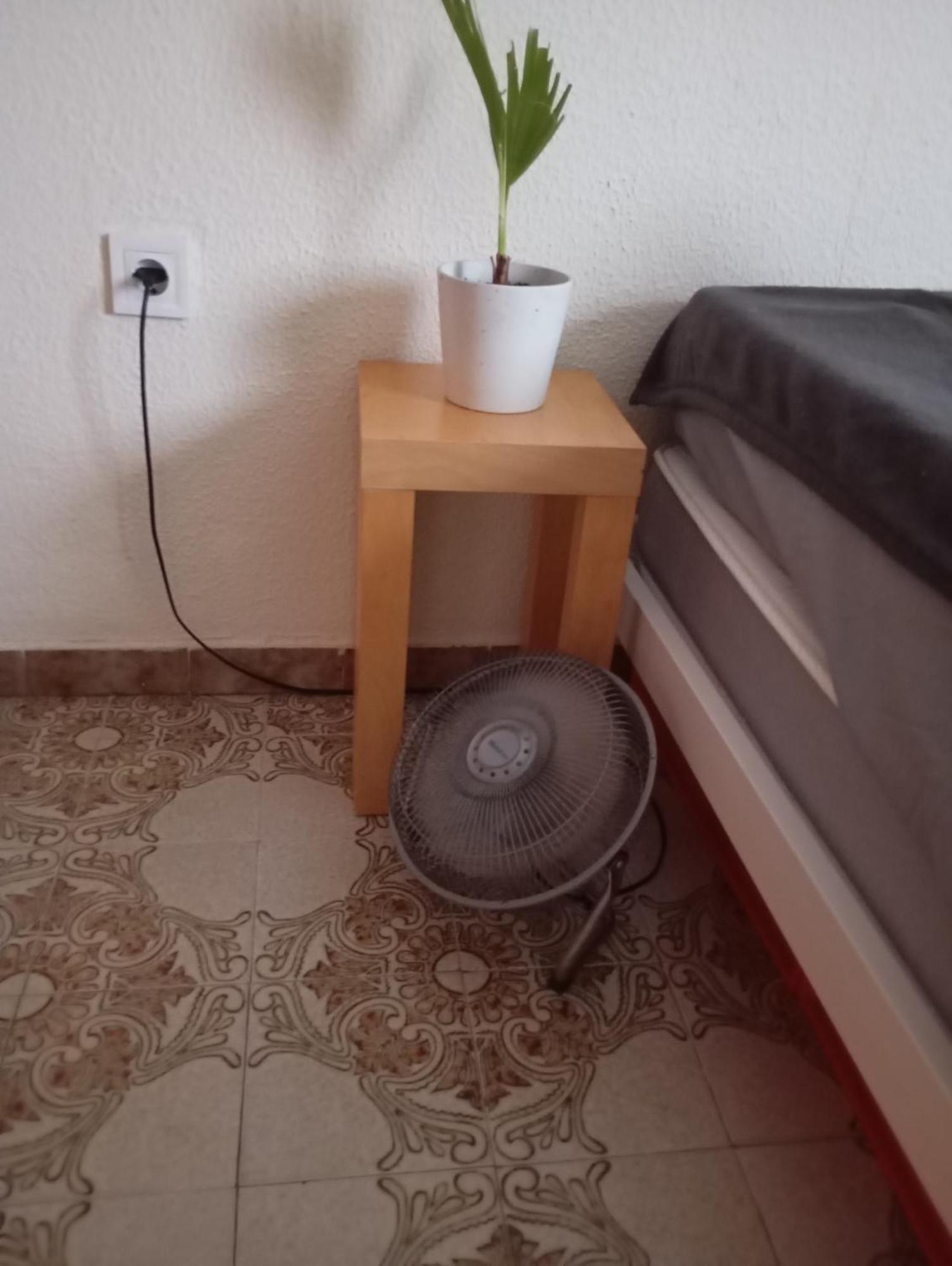 Grosses Modernes Zimmer "Silber" Fuer 2 Personen Und Katzenliebhaber Valencia Exterior foto
