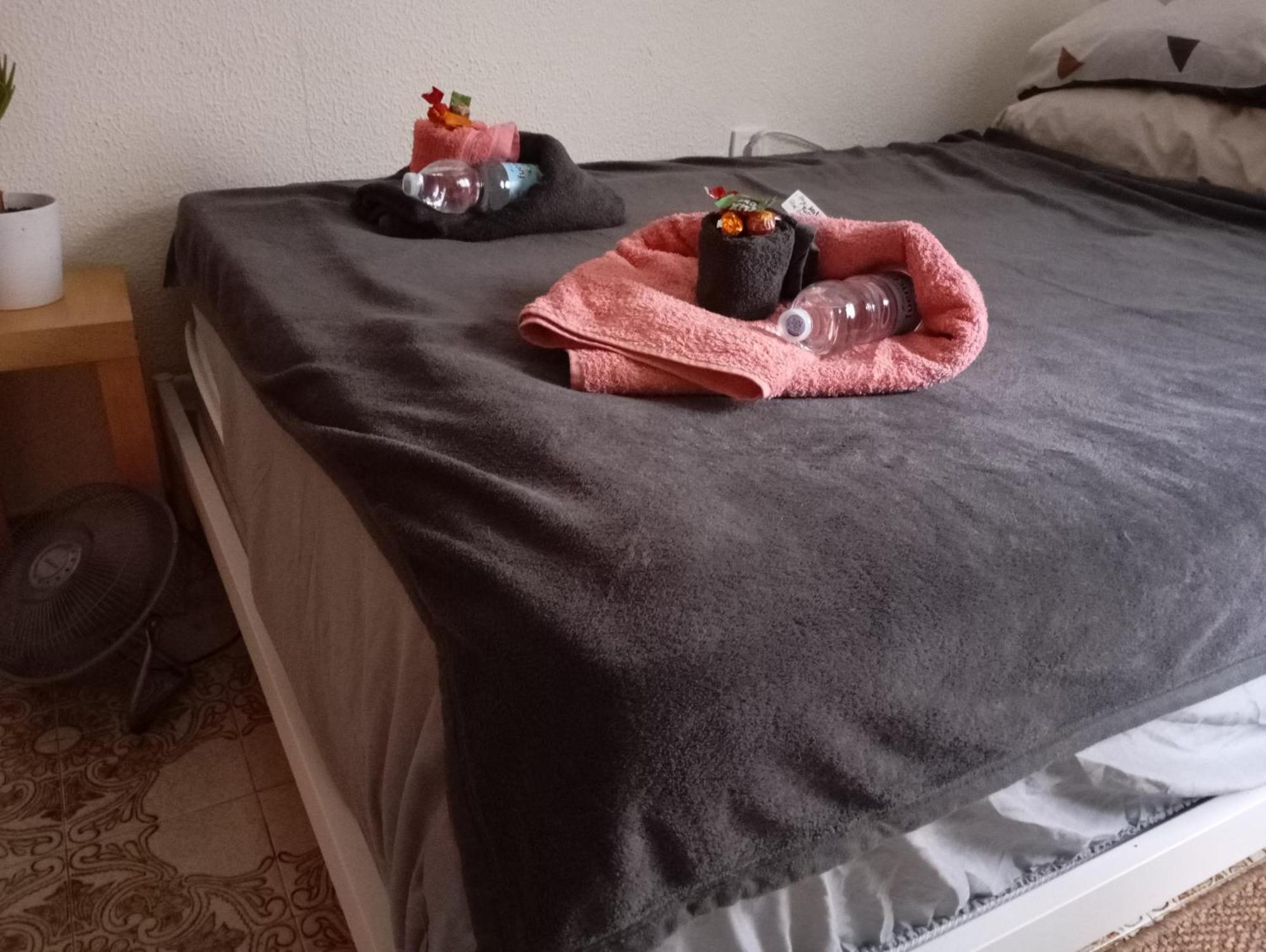 Grosses Modernes Zimmer "Silber" Fuer 2 Personen Und Katzenliebhaber Valencia Exterior foto