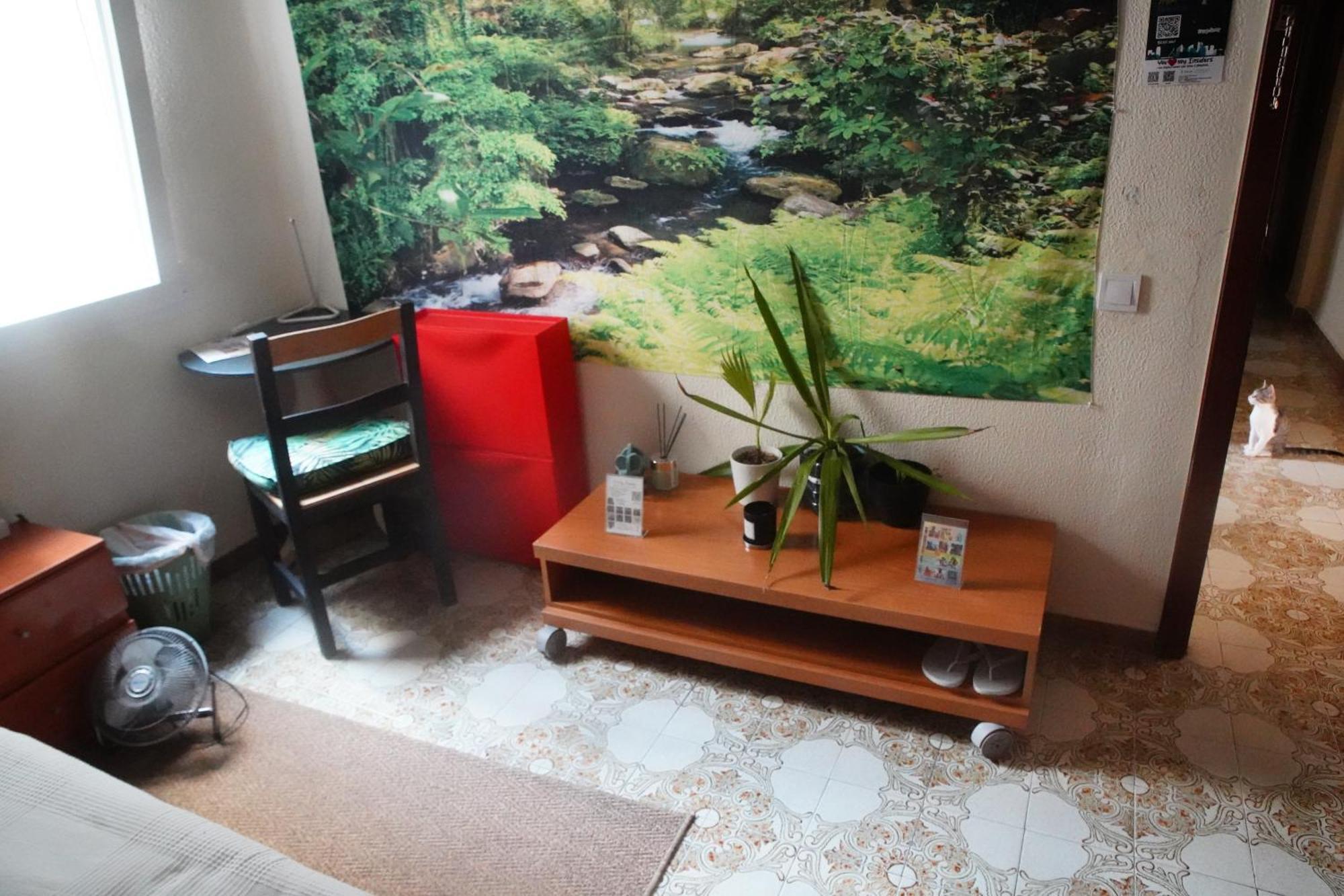 Grosses Modernes Zimmer "Silber" Fuer 2 Personen Und Katzenliebhaber Valencia Exterior foto